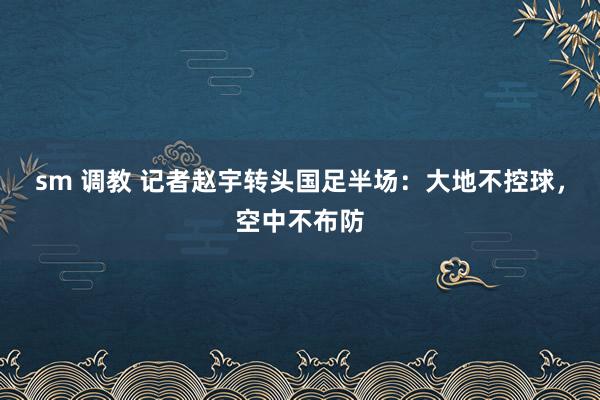 sm 调教 记者赵宇转头国足半场：大地不控球，空中不布防